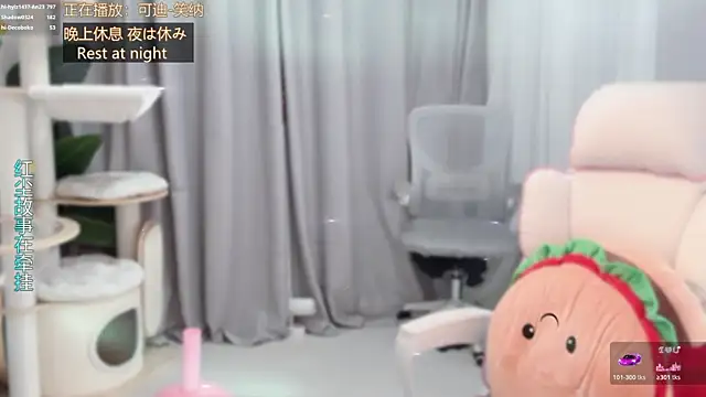 hi-AnAn webcam