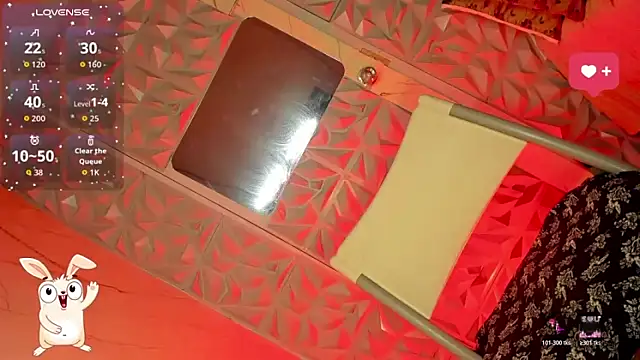anitacruise webcam