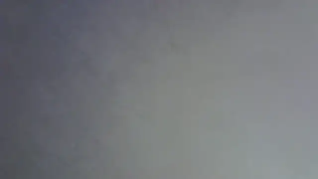 SkinnyKitten webcam