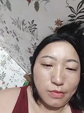 zhen-zo webcam