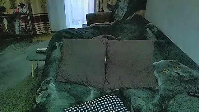 sex2 webcam