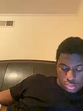 ThickDic28 webcam