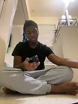 ThickDic28 webcam