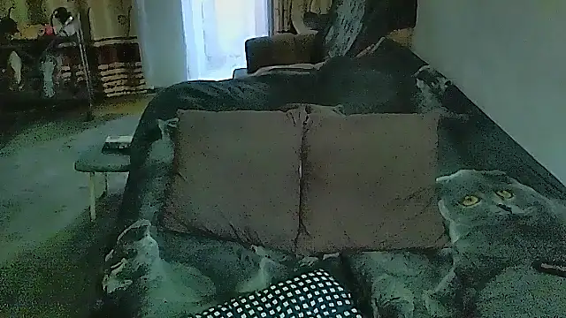 sex2 webcam