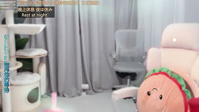 hi-AnAn webcam