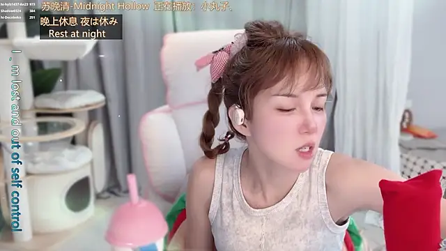 hi-AnAn webcam
