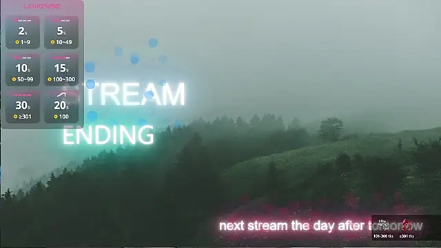 Vuitton webcam