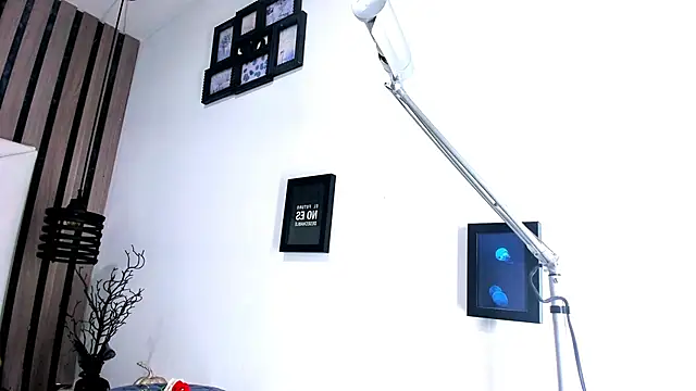 Pit_Ross webcam