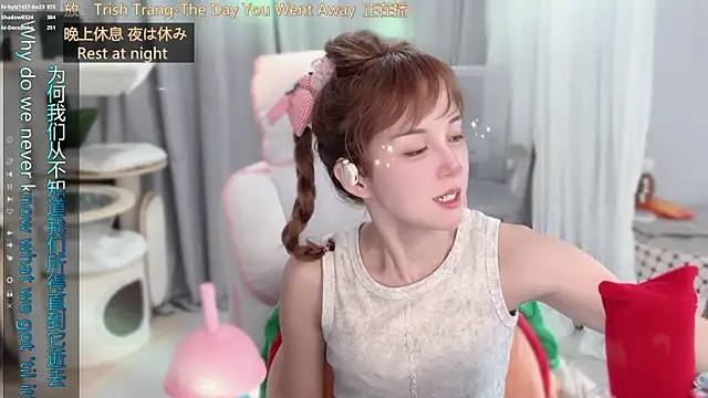 hi-AnAn webcam