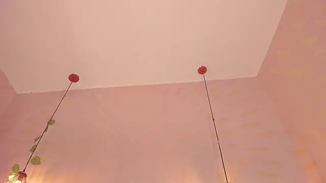 daphne_courtis webcam