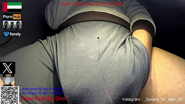 bfs26 webcam