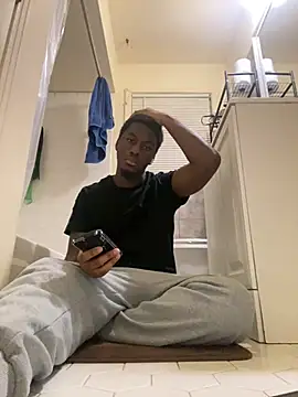 ThickDic28 webcam