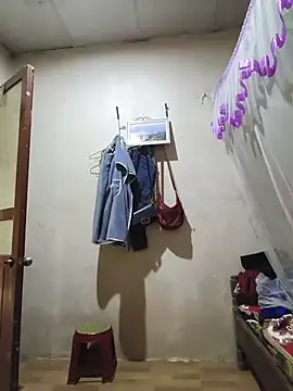 he-se-kin webcam