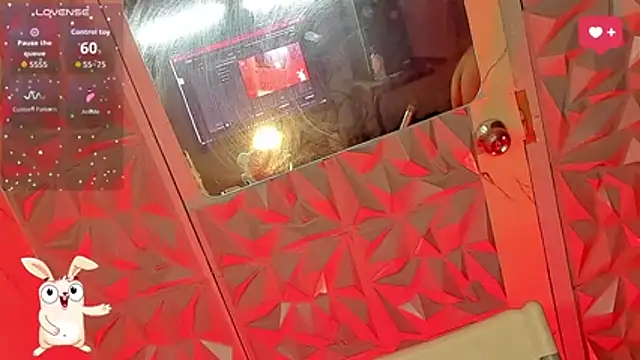 anitacruise webcam