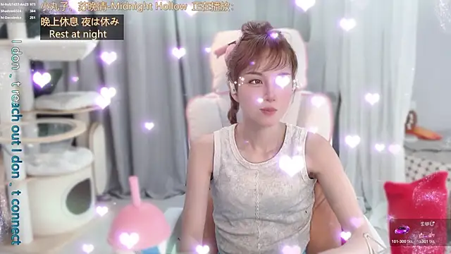 hi-AnAn webcam