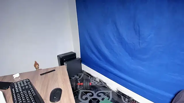 Freedom_24 webcam