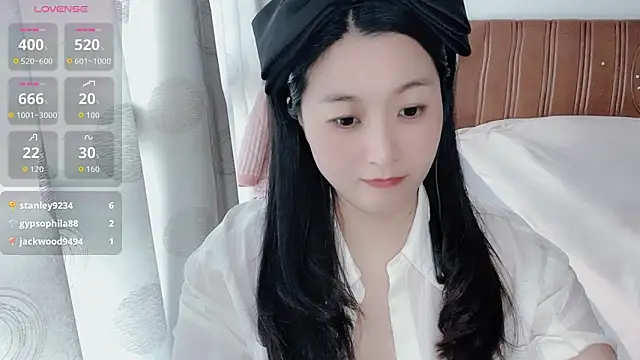 D-Misslu webcam