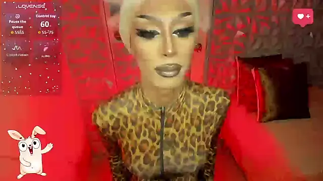 anitacruise webcam