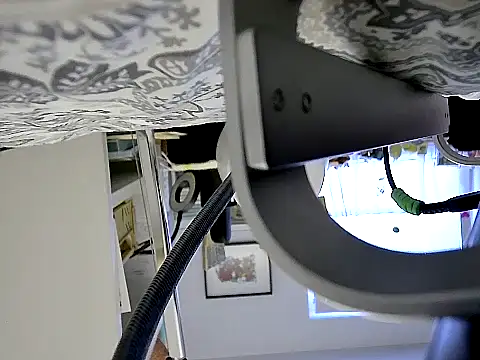MarthaBriest webcam