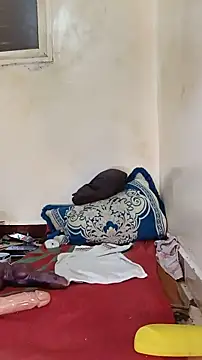tslovetoys5 webcam