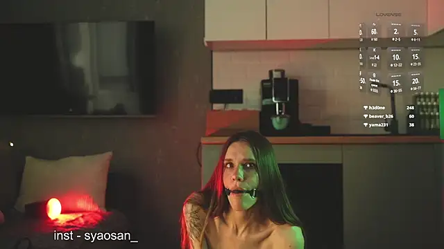 Arlitik webcam