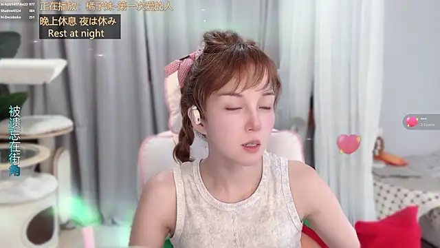 hi-AnAn webcam