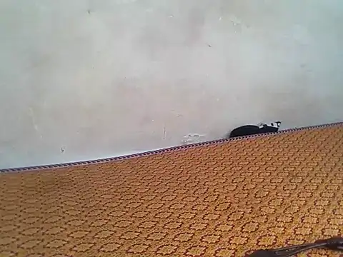 Mankofane webcam
