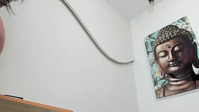 WowAna webcam