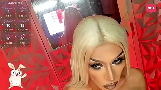 anitacruise webcam