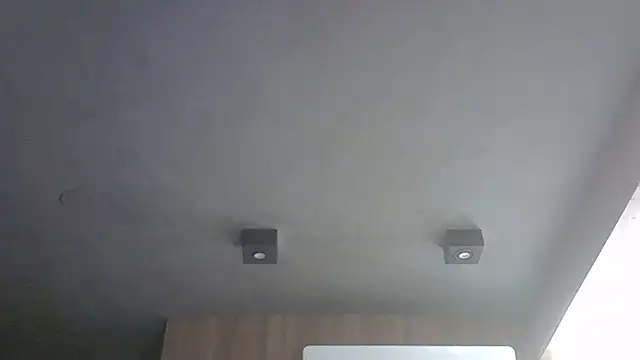 SkinnyKitten webcam