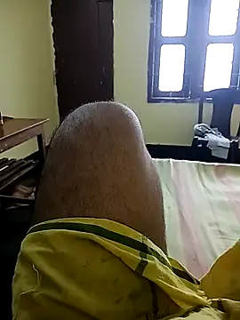 deshilnd webcam