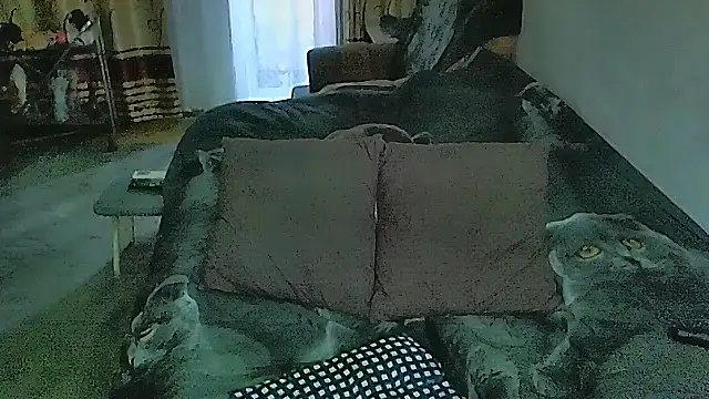 sex2 webcam