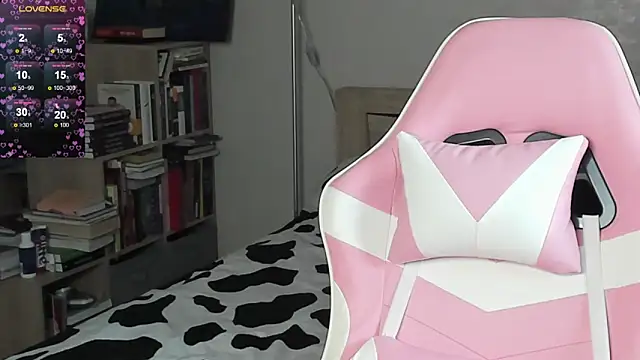 bbJ_one webcam