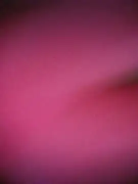 Fredklin_Rude webcam