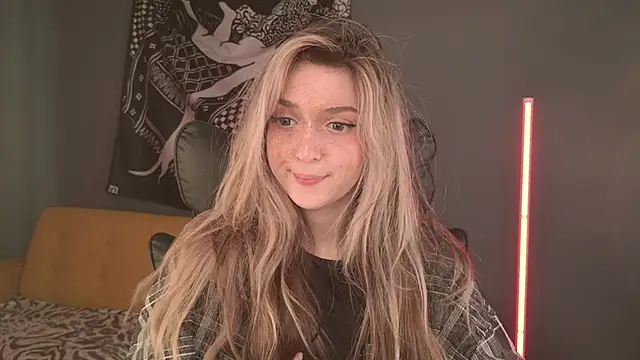 BellaSink webcam