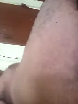 deshilnd webcam