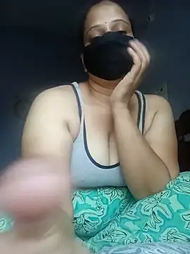 Hansikatelugu webcam