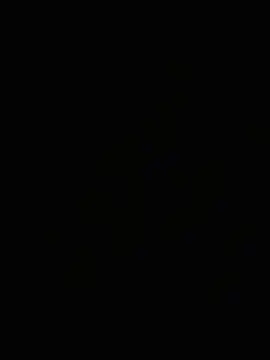 Arrombador20 webcam