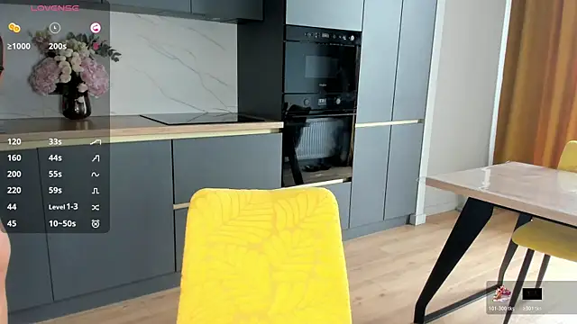 SaraShine_ webcam