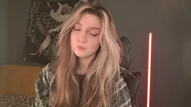BellaSink webcam