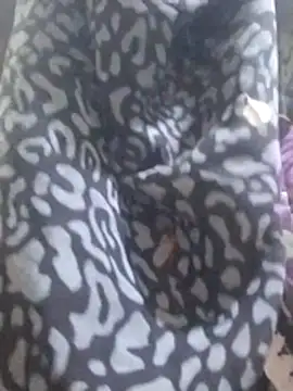 chocolate-puss webcam