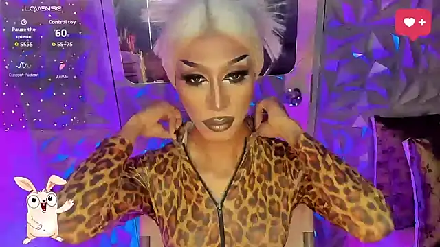 anitacruise webcam