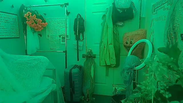 vegavyxen webcam