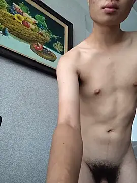 emb23xu webcam