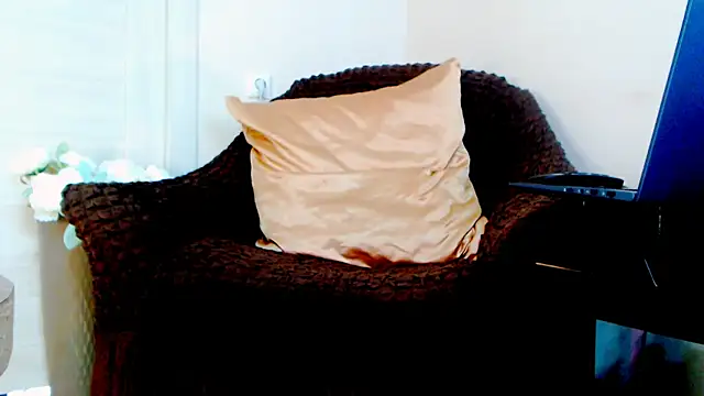Live_View webcam
