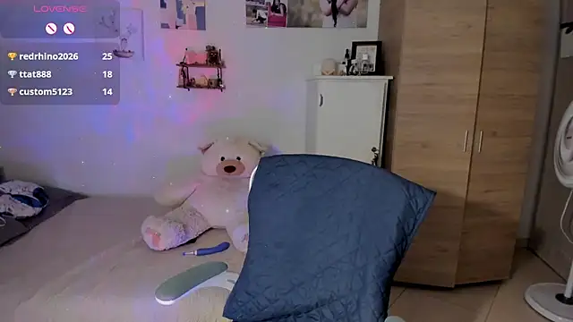 Veronikolsen- webcam