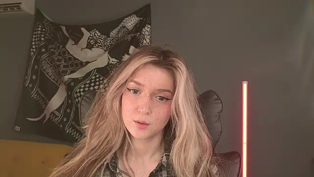 BellaSink webcam