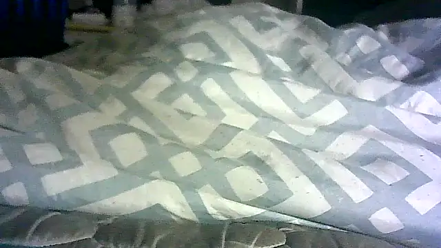 _P3RKY_IMMORTAL3_FIR3_ webcam