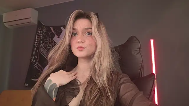 BellaSink webcam