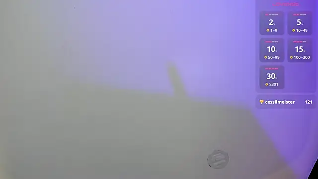 MarcoAndAllice webcam